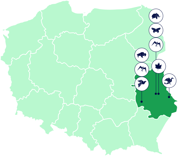 Mapa Polski