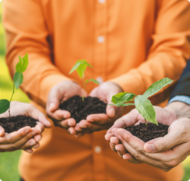 Dłonie trzymające ziemię z trawą – symbol troski o środowisko